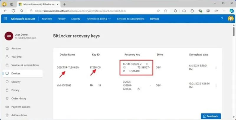 Come trovare la chiave di ripristino di BitLocker su Windows 11
