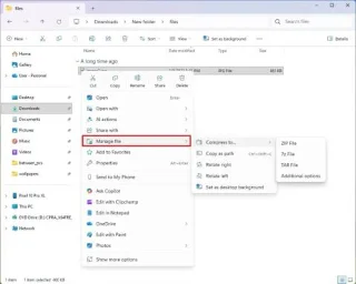 Esplora file beneficia di un aumento di velocità e di una semplificazione dei menu in Windows 11.