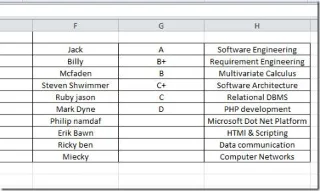 Excel 2010: Datenüberprüfungsliste
