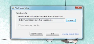 TakeOwnerShip Pro：解決「無法刪除」和「拒絕存取」錯誤 [Windows]