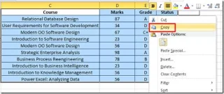 Datenblatt aus Excel 2010 in Word-Dokument einbetten