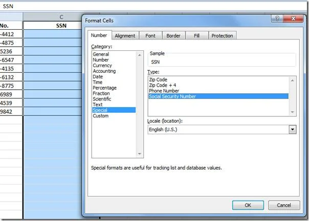 Excel 2010: Standardtelefon- und Sozialversicherungsnummern (SSNs) hinzufügen