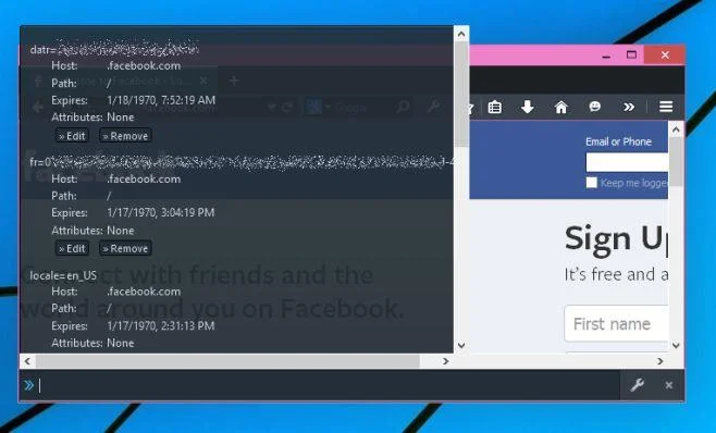 Cómo ver y eliminar cookies en Firefox Developer Edition