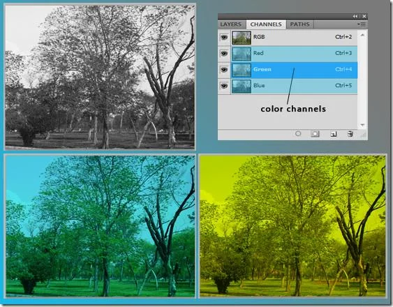 Una guida ai canali in Photoshop