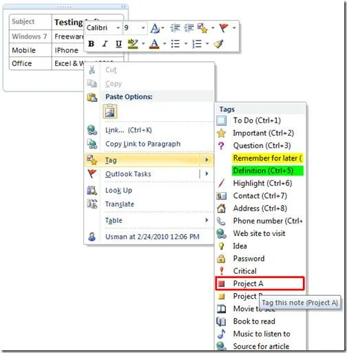 OneNote 2010: Tagging-Handbuch