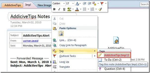 OneNote 2010: Tagging-Handbuch