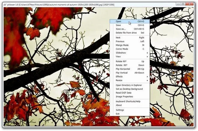 PViewer: Visor rápido y minimalista de imágenes, manga y cómics