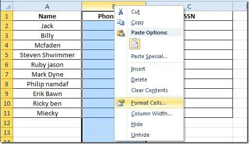 Excel 2010: Standardtelefon- und Sozialversicherungsnummern (SSNs) hinzufügen