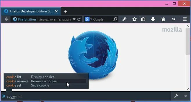 Cómo ver y eliminar cookies en Firefox Developer Edition