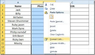 Excel 2010: Standardtelefon- und Sozialversicherungsnummern (SSNs) hinzufügen