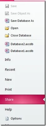 Microsoft Office Access 2010: Webkompatibilitätsprüfung