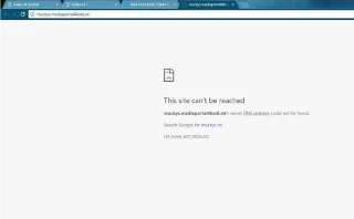 Репозиторий и дополнения Mucky Duck не работают: лучшие альтернативы репозиторию Mucky Duck