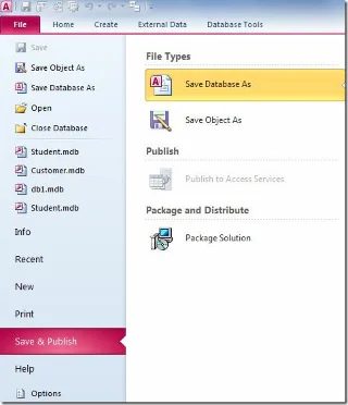 Access 2010: Assistent für Windows Installer-Paketlösungen