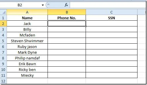 Excel 2010: Standardtelefon- und Sozialversicherungsnummern (SSNs) hinzufügen