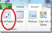 Office Excel 2010 튜토리얼: 피벗 테이블