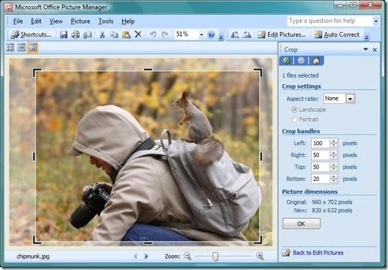 Ridimensiona e ritaglia l'immagine con Microsoft Office Picture Manager