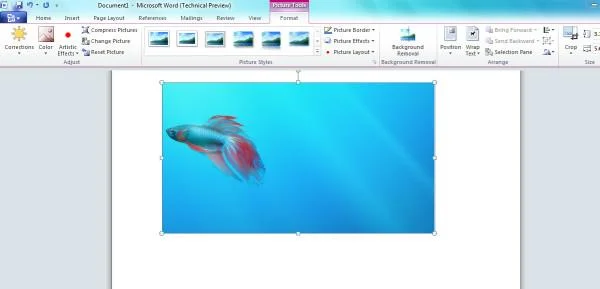 Вырезка экрана – создание снимка экрана с помощью Microsoft Office 2010