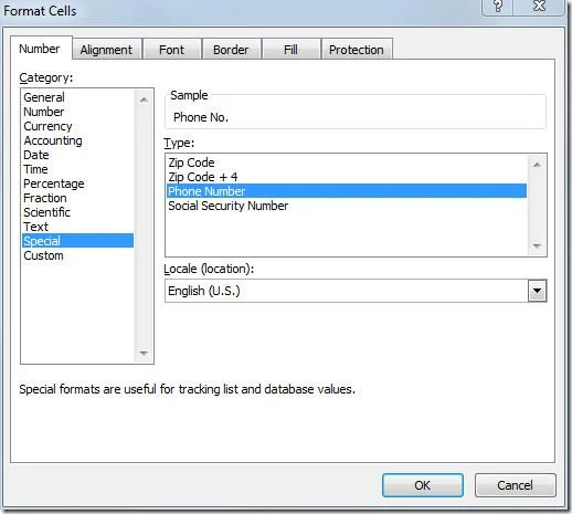 Excel 2010: Standardtelefon- und Sozialversicherungsnummern (SSNs) hinzufügen