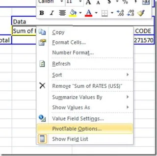 Office Excel 2010 튜토리얼: 피벗 테이블