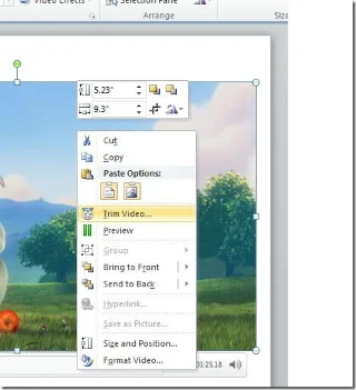 Office PowerPoint 2010-Tutorial: Videobearbeitung