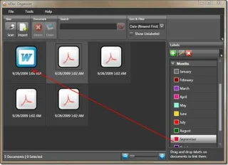 Organizador EDoc: organiza y gestiona documentos Word/PDF