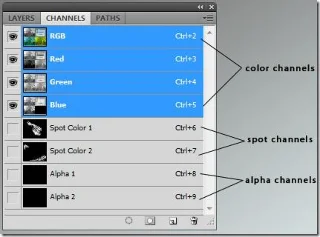 Una guida ai canali in Photoshop