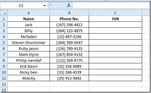 Excel 2010: Standardtelefon- und Sozialversicherungsnummern (SSNs) hinzufügen