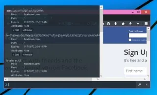 Cómo ver y eliminar cookies en Firefox Developer Edition