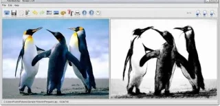 La actualización de FotoSketcher trae más de 20 efectos de dibujo para convertir fotos en arte.