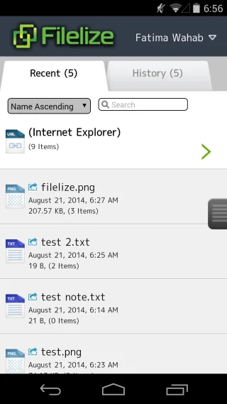 Filelize sincroniza archivos recientes con su servicio de almacenamiento en la nube preferido [Windows]
