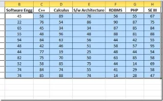 Leitfaden zu Excel 2010-Datenbalken