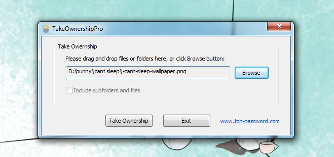 TakeOwnerShip Pro：解決���無法刪除」和「拒絕存取」錯誤 [Windows]