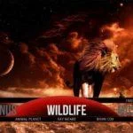 Kodi Horizon Build – So installieren Sie den Horizon Build auf Kodi 17