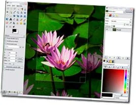 Las 5 mejores herramientas gratuitas de edición de fotos para Windows
